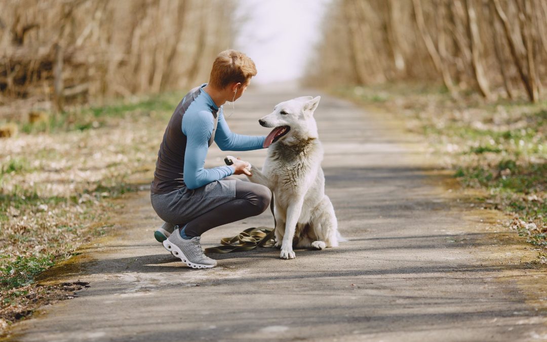 10 Exciting Outdoor Activities for Adventurous Pet Owners and Their Furry Companions