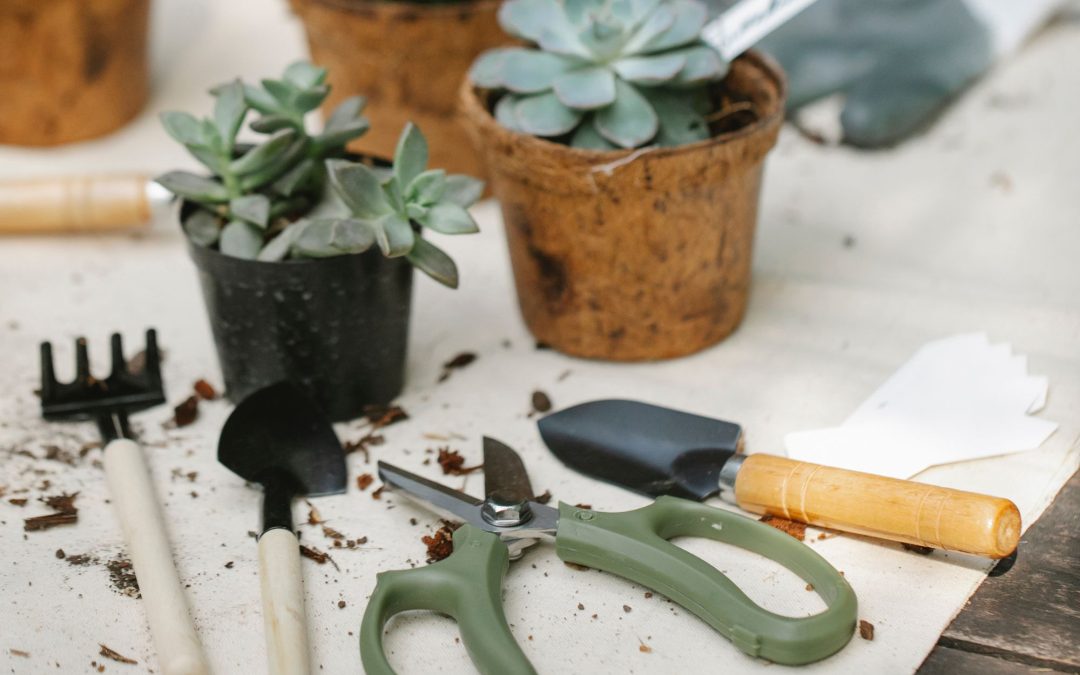 Garden Guru: 10 Must-Have Tools and Equipment for Thriving Gardens