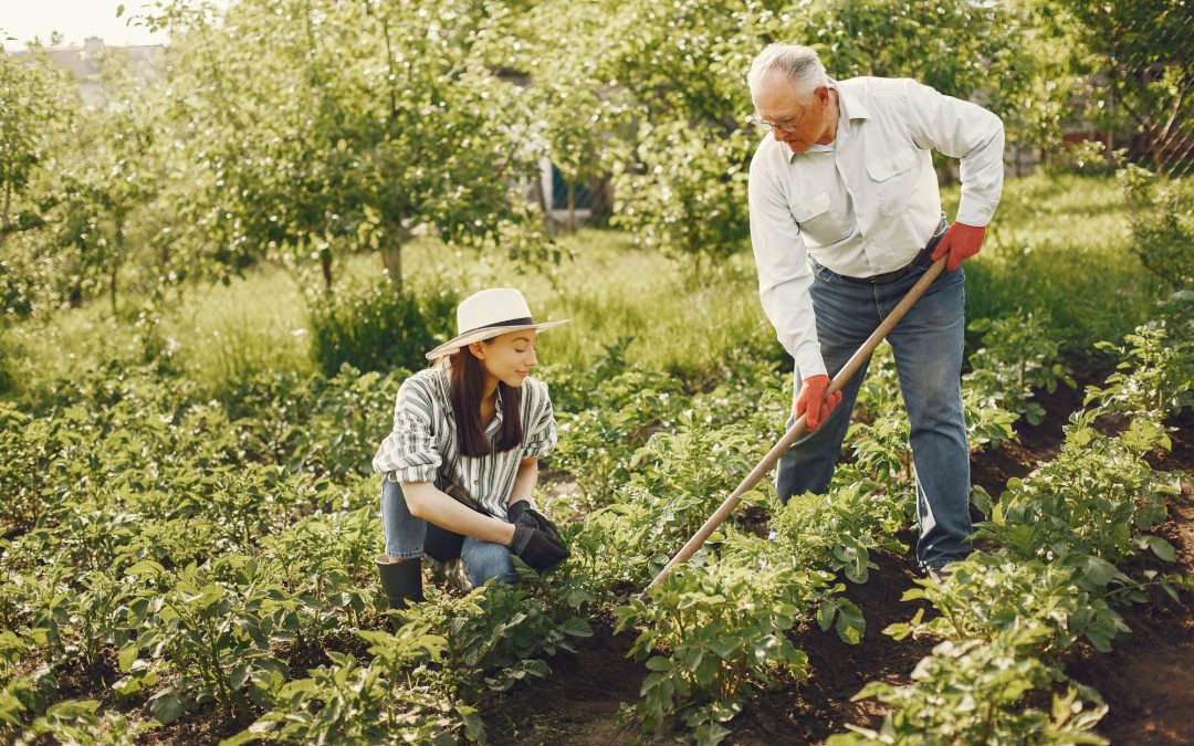 The Organic Oasis: Unlocking the Benefits and Techniques of Natural Gardening